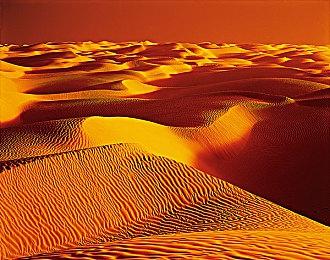 卡普空正在更新GFWL游戏使其重新回归Steam平台